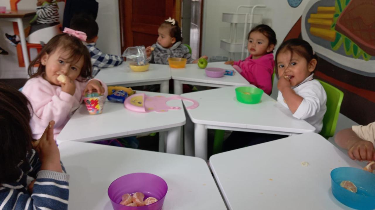 Featured image for “Alimentación”